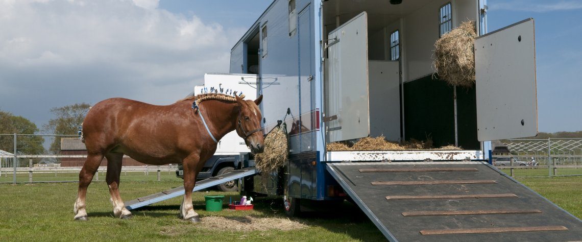 Horsebox Equipment