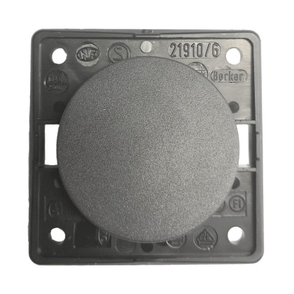 Berker Rocker Switch