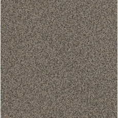 Vohringer AirPly : Puntinella Vohringer AirPly : Puntinella