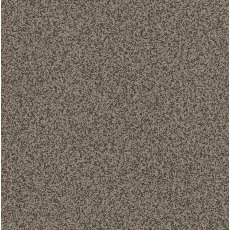 Puntinella Vohringer Ply