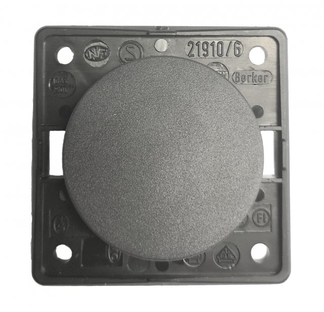 Berker Rocker Switch