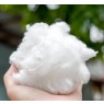The granules are extruded to fibres